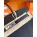 Hermes Birkin Togo Black & Green Color bar Silver Hardware 30cm Full Handmade
